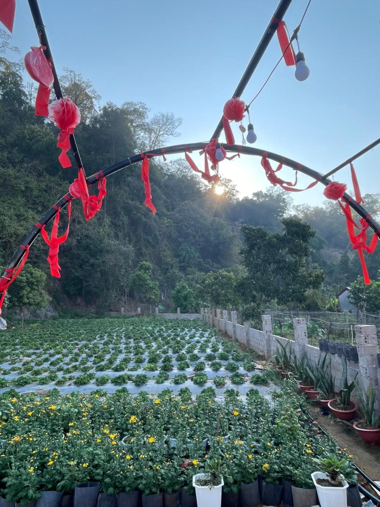 Moc Homestay Moc Chau Bagian luar foto